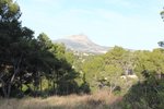 Thumbnail 14 van Grundstück zum kauf in Jávea / Spanien #59139