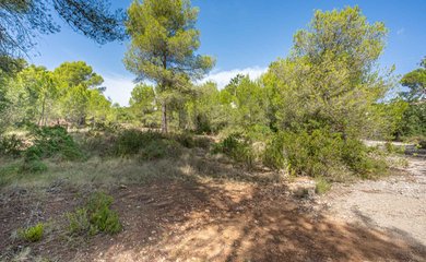 Grundstück zum kauf in Jávea / Spanien