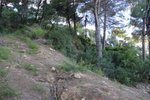 Thumbnail 3 van Grundstück zum kauf in Jávea / Spanien #46157