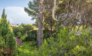 Grundstück zum kauf in Jávea / Spanien